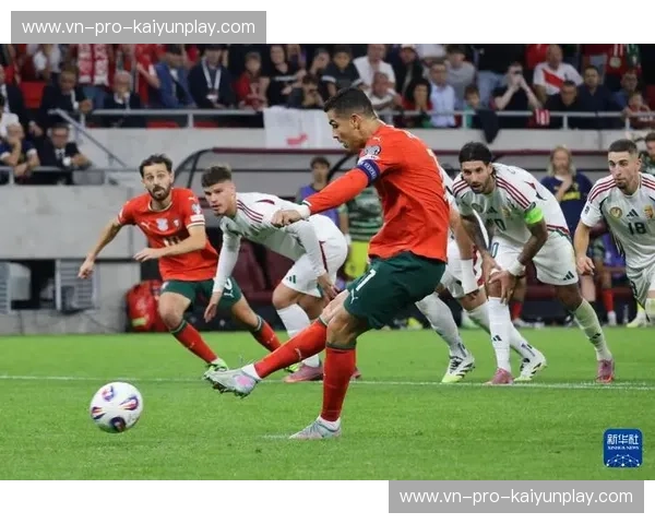 转会葡萄牙队：一步登欧陆舞台的最佳选择